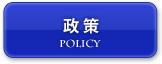 政策