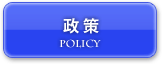 政策
